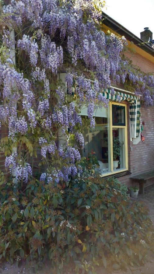 B&B De Vlinder Hardenberg Exteriér fotografie