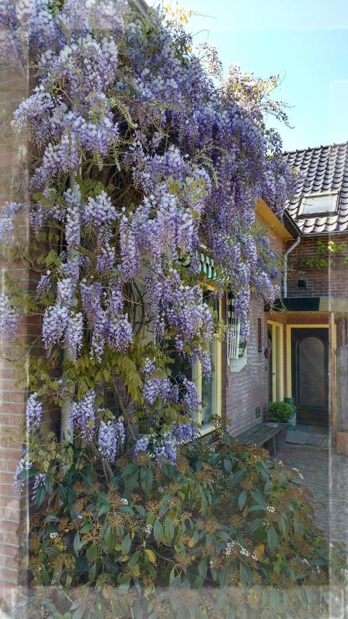 B&B De Vlinder Hardenberg Exteriér fotografie