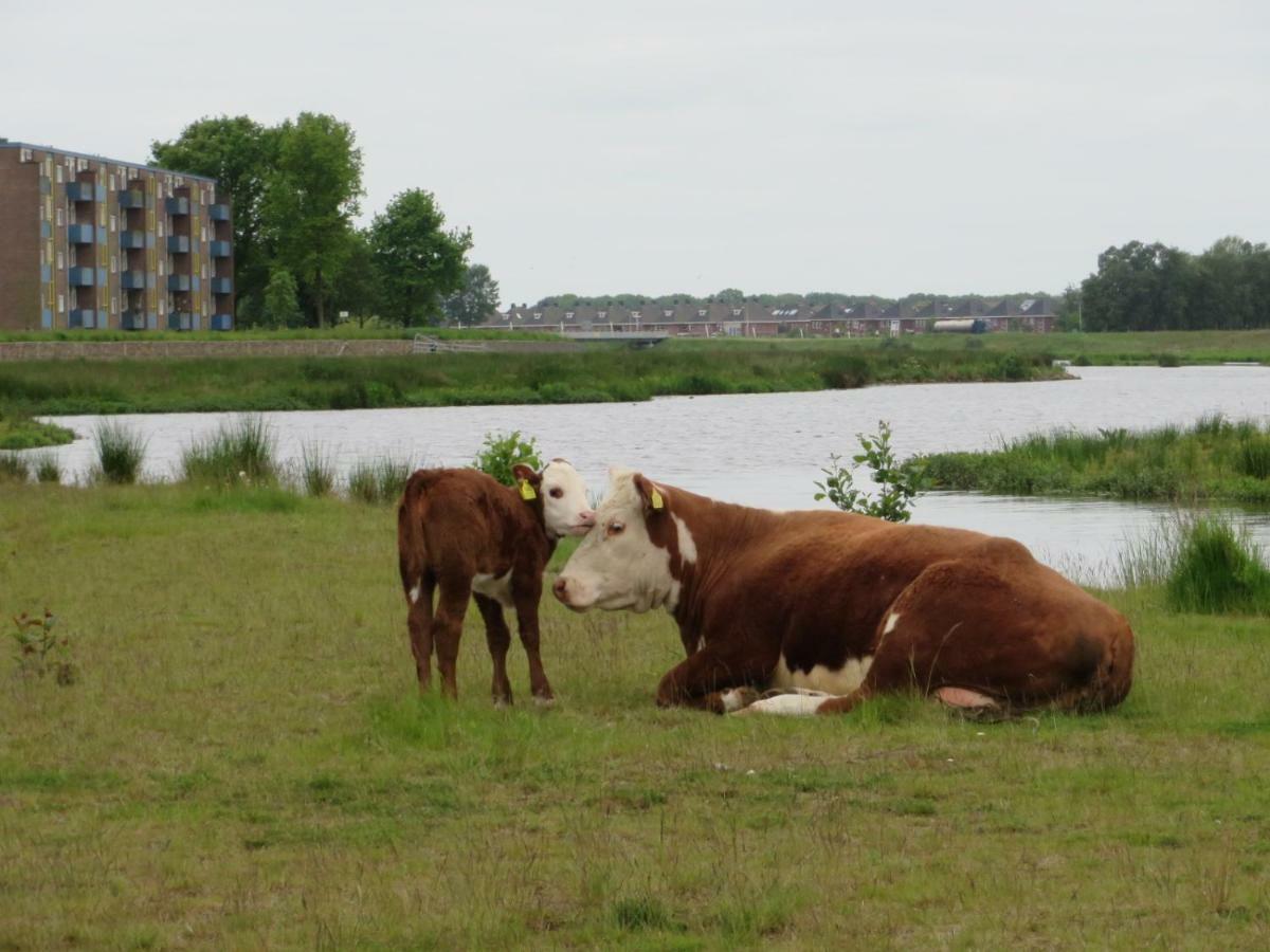 B&B De Vlinder Hardenberg Exteriér fotografie